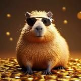 Раздачи от Капибары /WB/Ozon/Кэшбэк за отзыв. Реклама товаров