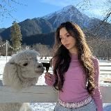 айсберг @icceeeberg