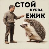 100й Курво