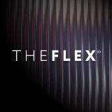 THE FLEX — сеть клубов фитнеса для женщин