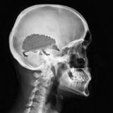 Макс Бродский - мысли вслух - 🇮🇱 Новости Израиль | Ближний Восток | Война | Газа