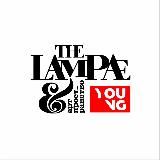 The Lampæ young