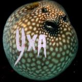 Уха🦈