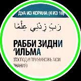 Физиология