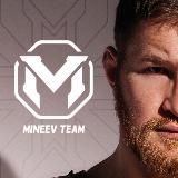 Владимир Минеев