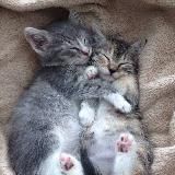 кондиционеры оптом