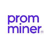 Promminer