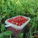 Быстрые рецепты 🎂