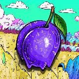 apperKOT
