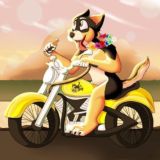 Moto Furries waiting room (Old chat)