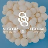 SHROOM SHROOM | напитки на грибах