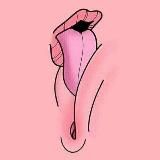 🍓 lesbian heaven 🍓