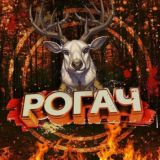 Рогач 3.0