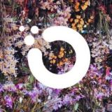 Orchid Price Chat ($OXT) Trading