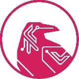 CTT Report Hub