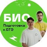 Тамерлан Харди и Артур Вайнберг | Биология ЕГЭ | EGEHUB