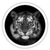 Kind_animals