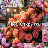 Твои Открытки