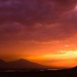 Армянская вендетта