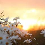 Верую ☦️ Православие