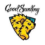 Goodsurfing