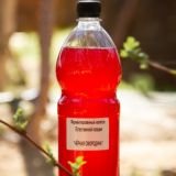 Ферментированные Напитки "ЭкоФириум"