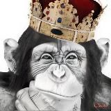 ИСТОРИЯ ЧЕЛОВЕКА