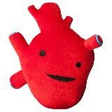 Кардиология