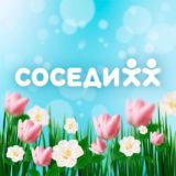 Соседи – сеть магазинов