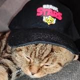 Пупер упер белт(kargust)🧙🏿♂️