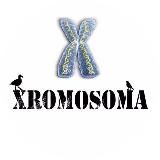 XROMOSOMA