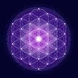 The Awakened Species ☀️