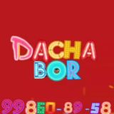 Dachalarbor.UZ