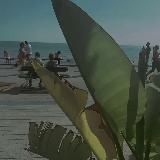 ШАБЛОНЫ CapCut | ПРОМТЫ | Reels 🎥