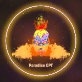 ParaOpt