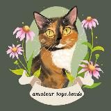 amateur toys.beads✨