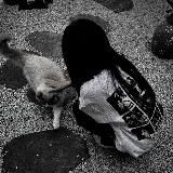 ПРОСТО APPLE | Ставрополь