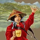 Нячанг онлайн 🇻🇳 Вьетнам живьём