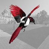 Тихвинская сорока