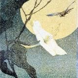 luna flore