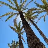 АРЕНДА 🇪🇸 БЕНИДОРМ, САН ХУАН, АЛИКАНТЕ 🏝️
