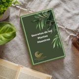 Terapia con Plantas Maestras