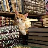 глазами мусульманина