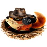 🪹 Гнездо: Музыки