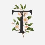 Красивые шрифты 📝 | Бот шрифтов