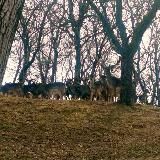 Back in The History (Gregor Bratina)