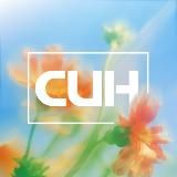 СИН бренд