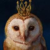 СОВА на ФРИЛАНСЕ 🦉