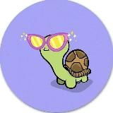 Черепашка | Юмор