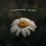 Гармония души | психология, мысли , мотивация 🕊